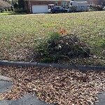 Bulk Trash Pickup at Sparrow Rd